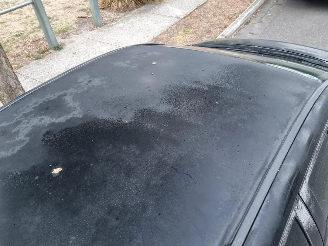 Sun-damaged dark car paint