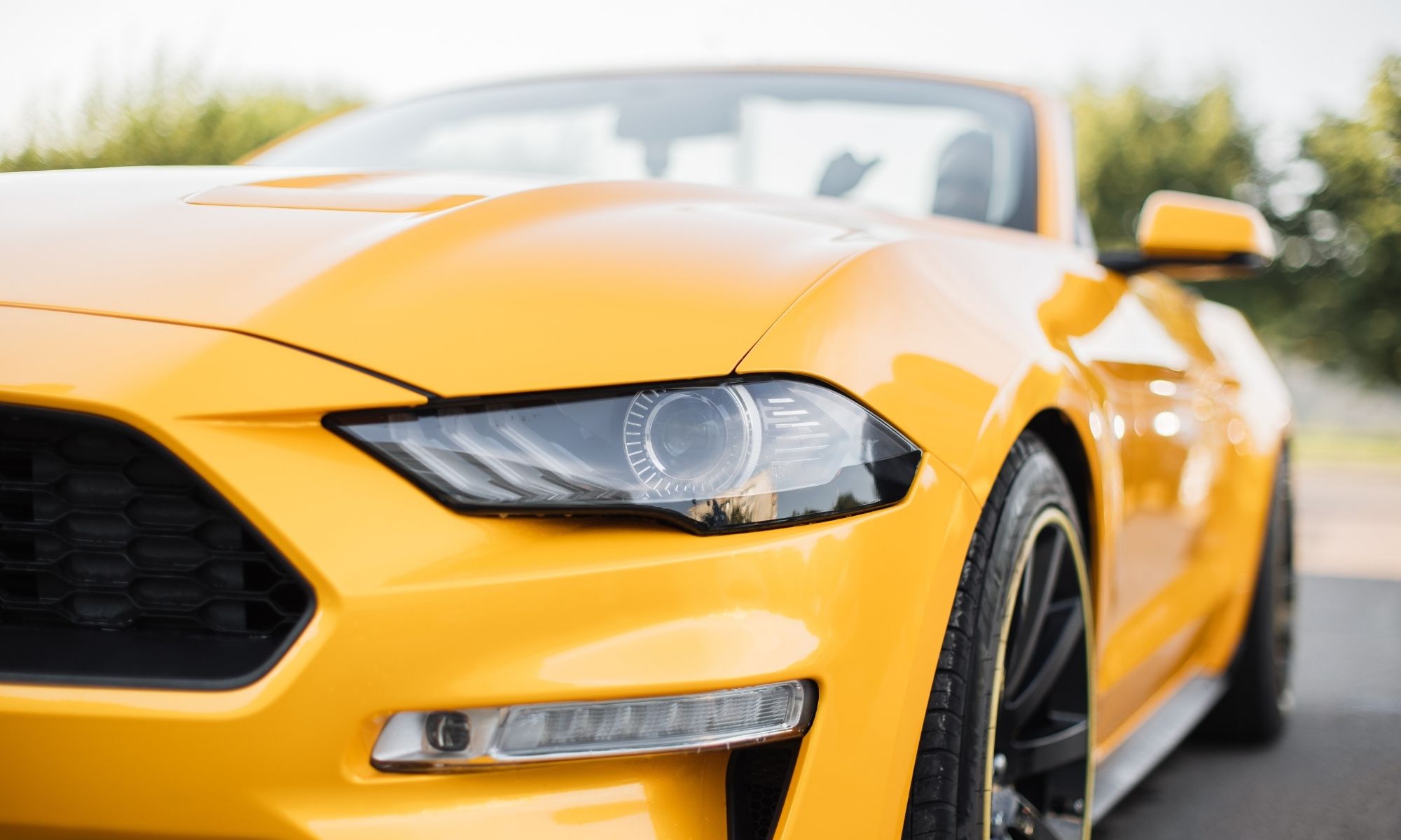 Executive Exterior Detail